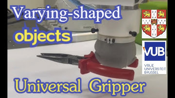 Self-stablizated Universal Grasping Robot for Various-shaped Objects