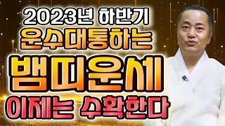 ★2023년 하반기 대박나는 뱀띠운세★ 하반기 금전,재물운 대박난다?! 돈 벌어봅시다!! 53년생 65년생 …