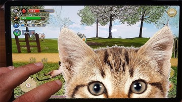Cat Simulator 2020 #6 Cat Sim Online Game - Play with Cat Clan Pet Simulator 2020 - Android Gameplay