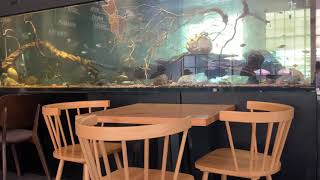 COFFEE SHOP S AQUARIUM