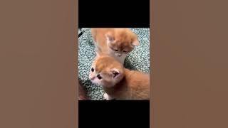 672490573 932111276 695573057 301766224 1  2