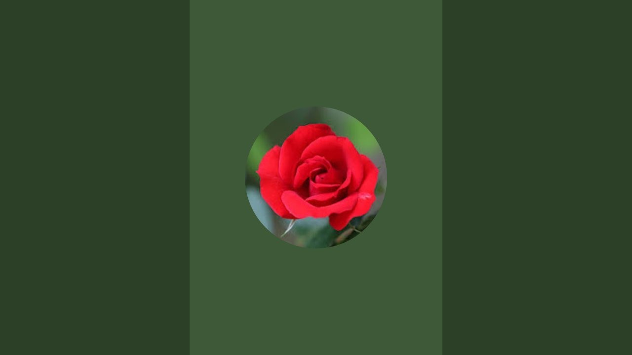 Ko Htun is live!  2.1.2025.....3D....post..6