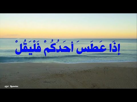 إ ذ ا ع ط س أح د ك م ف ل ي ق ل الح م د لله