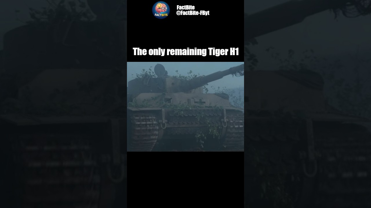 This Movie Used A Real Tiger H1