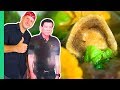 Visite gastronomique prsidentielle la carendaria prfre de duterte et la nourriture la plus unique  davao