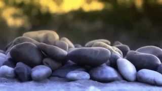 Arabamu Aluthin- අරබම අලතන අප ජවත