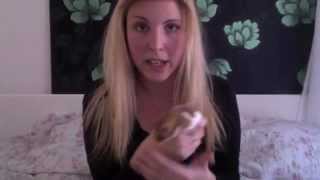 Can you pitch an idea in 30 seconds?