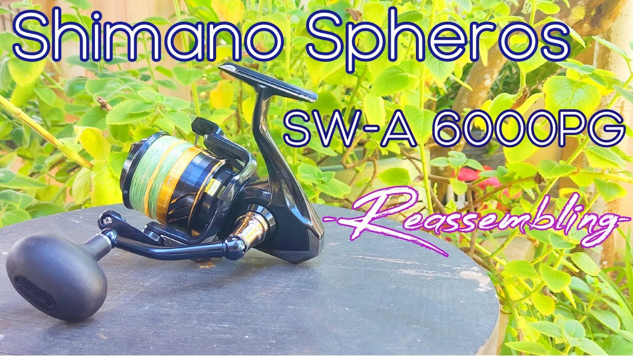 Shimano Spheros SW A 6000PG Part 2/2 - Reassembling - Reel service, repair  and maintenance - 