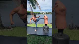 Kicking Like Johnny Cage