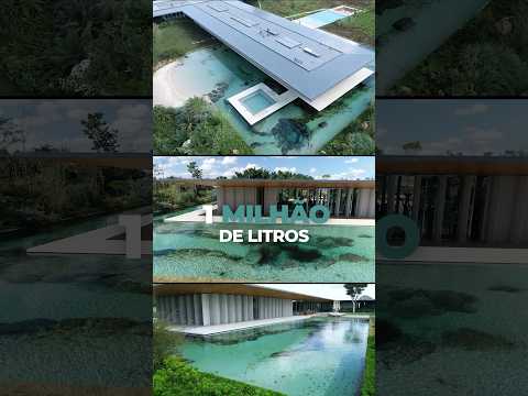 Vídeo: Projeto de Piscina Natural – Construindo Piscinas Naturais