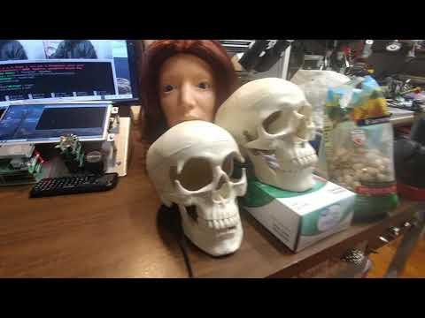 Face Tracking for Robotic Host with OpenCV and Raspberry Pi