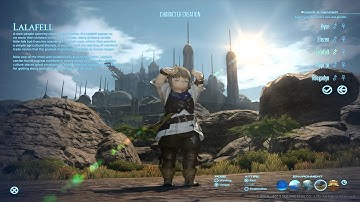 Final Fantasy XIV A Realm Reborn,  Male Lalafell