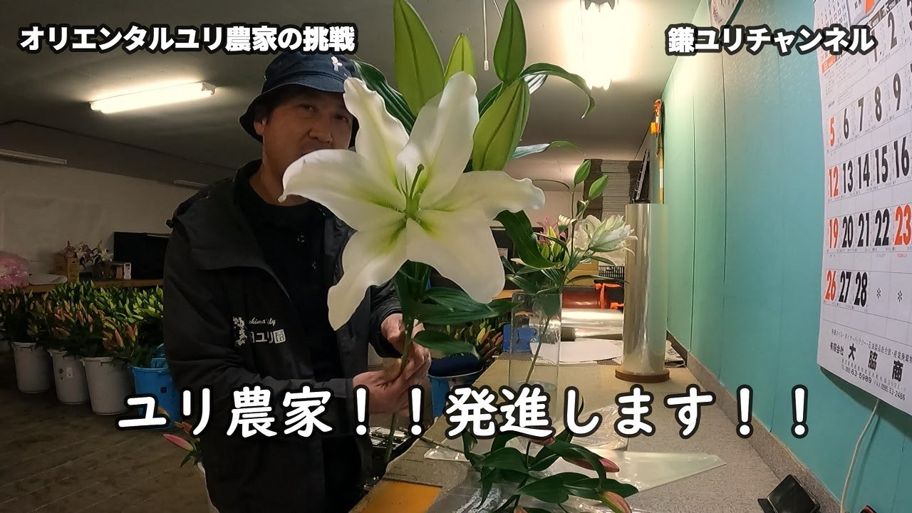 なぜカサブランカしか知らないのか】バブルの象徴からの脱却 - YouTube