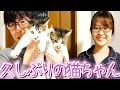 我が家の猫ちゃんもこんなに大きくなりました！！