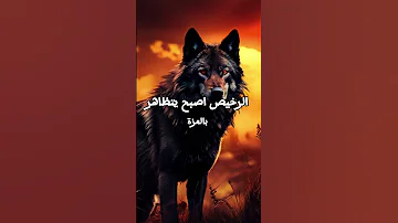 حكم وأقوال ملهمة عن الحياة حياة أقوال حكم إلهام تحفيز نصائح حياتية حكمة فكر اقتباسات 