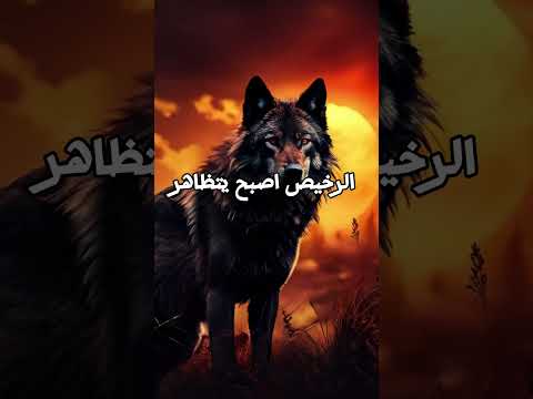 حكم وأقوال ملهمة عن الحياة حياة أقوال حكم إلهام تحفيز نصائح حياتية حكمة فكر اقتباسات