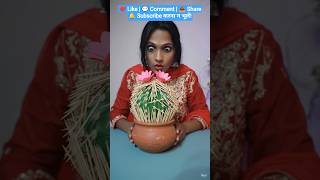 Cactus Experiment Video 🌵Toothpick Se Bana Dangerous Cactus! Dekho Aage Kya Hua 🌵🔥