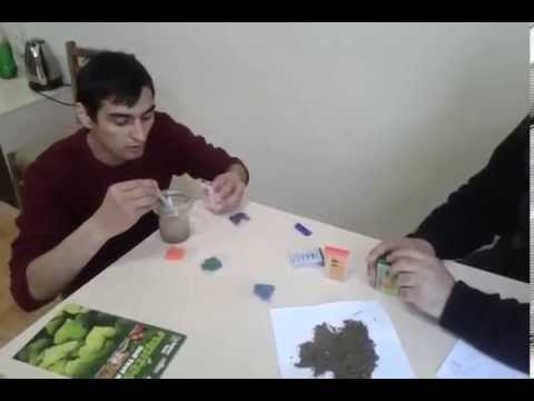 ნიადაგის სინჯი