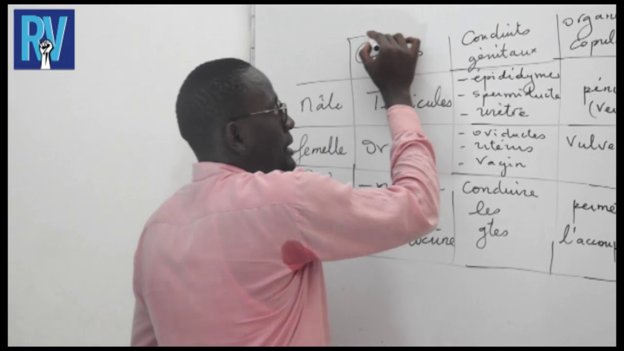 COUR SVT:La reproduction sur les mammifere