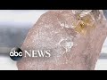 Rare pink diamond is largest such gemstone found in 300 years l abc news