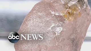 Rare pink diamond is largest such gemstone found in 300 years l ABC News