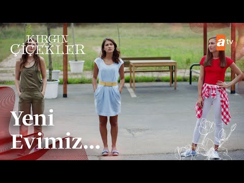 Cemre, Songül ve Kader'in yeni evi | Kırgın Çiçekler Mix Sahneler