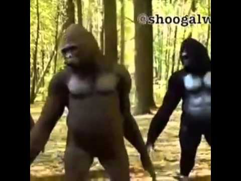 محطة الرواف