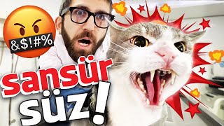 OLAF GERİ DÖNDÜ 😳 Sansüzsüz Kedi Saldırısı!