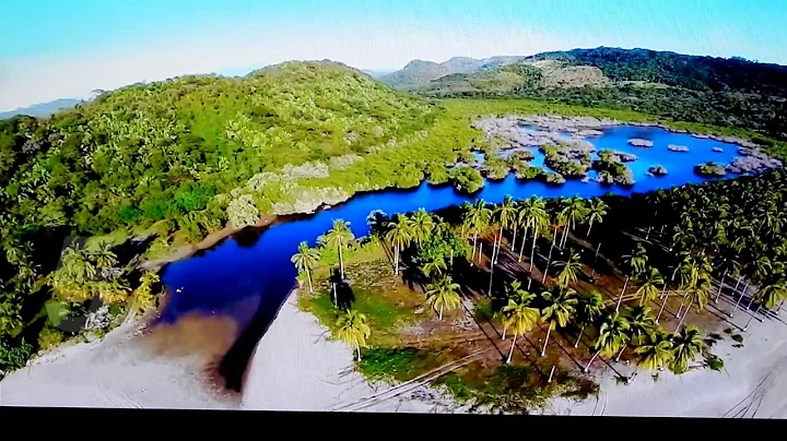 Punta Gorda Drone Video