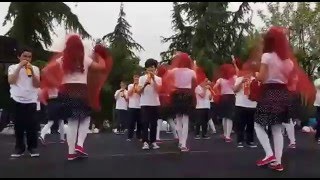 VID 20160423 WA0009