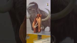 Underground Musueum | Ice Age படத்துல பாத்த மிருகம்-லாம் இருக்கு | Tamil Trekker
