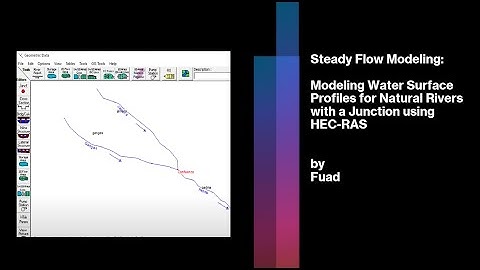 HEC-RAS Tuorial: How to Simulate Natural Rivers With Junction