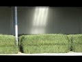 HAY DRYER COMPACT: UNLOADING ALFALFA SQUARE HAY BALES AND STORAGE IN BARN (BIOGAS)