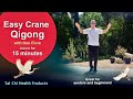 Easy crane qigong  avec don fiore