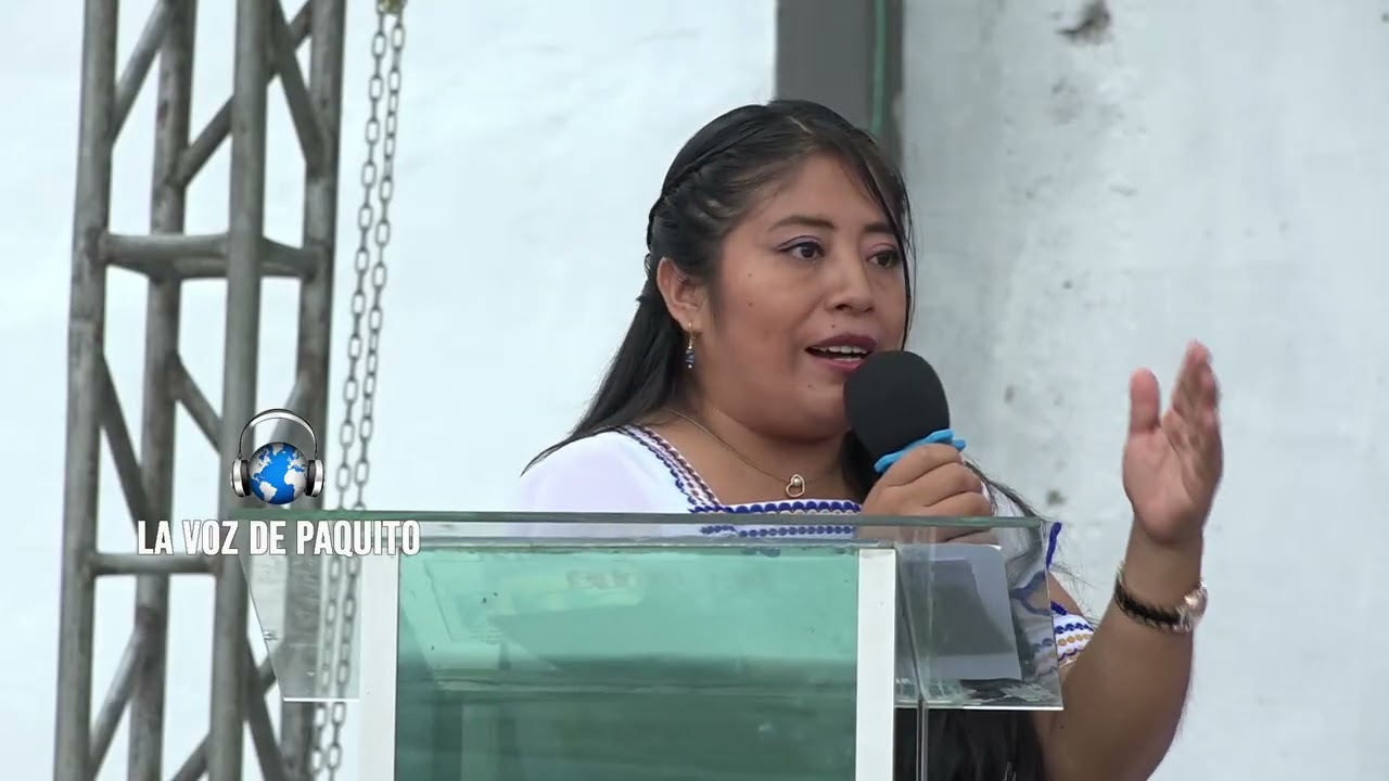 XXV Aniversario | Organización 