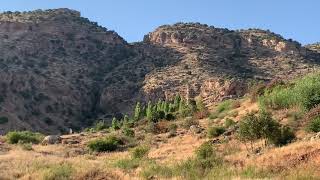 Salih Sirnexi - Xoshtrin Stran دەڤەرا مزیریا گوندێ بلان