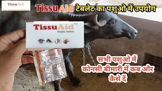 Tissu Aid Bolus Proteolytic Enzymes, Fungal & Bacterial Sources Konsi Disease Mein Kab De