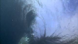 Would You Know How to Survive a Whirlpool?