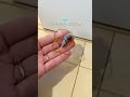 【コレはヤバイ😨】隙間そうじ3選