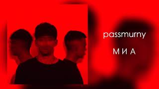 passmurny - Миа (Audio, 2019)