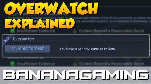 CS:GO - Overwatch Explained