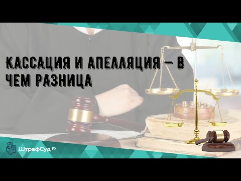 Кассация и апелляция — в чем разница