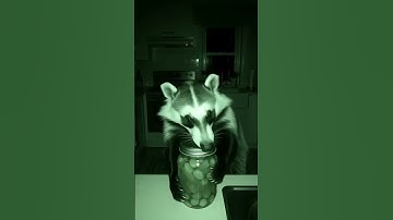 The Secret Hobbies & Struggles of Animals 🎨🫙👴#funnyanimals  #relatable  #aivideo  #shorts