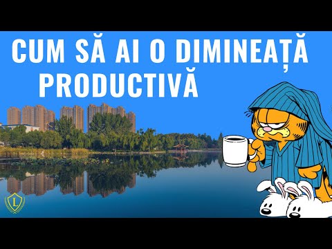 Video: 5 Metode Pentru A Fi Productivi