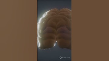 Reclaim Your Focus with the Pomodoro Technique!