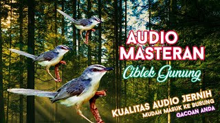 #1 Audio Masteran Burung Ciblek/Prenjak Gunung   Jeda   Suara Air Gemricik Jernih