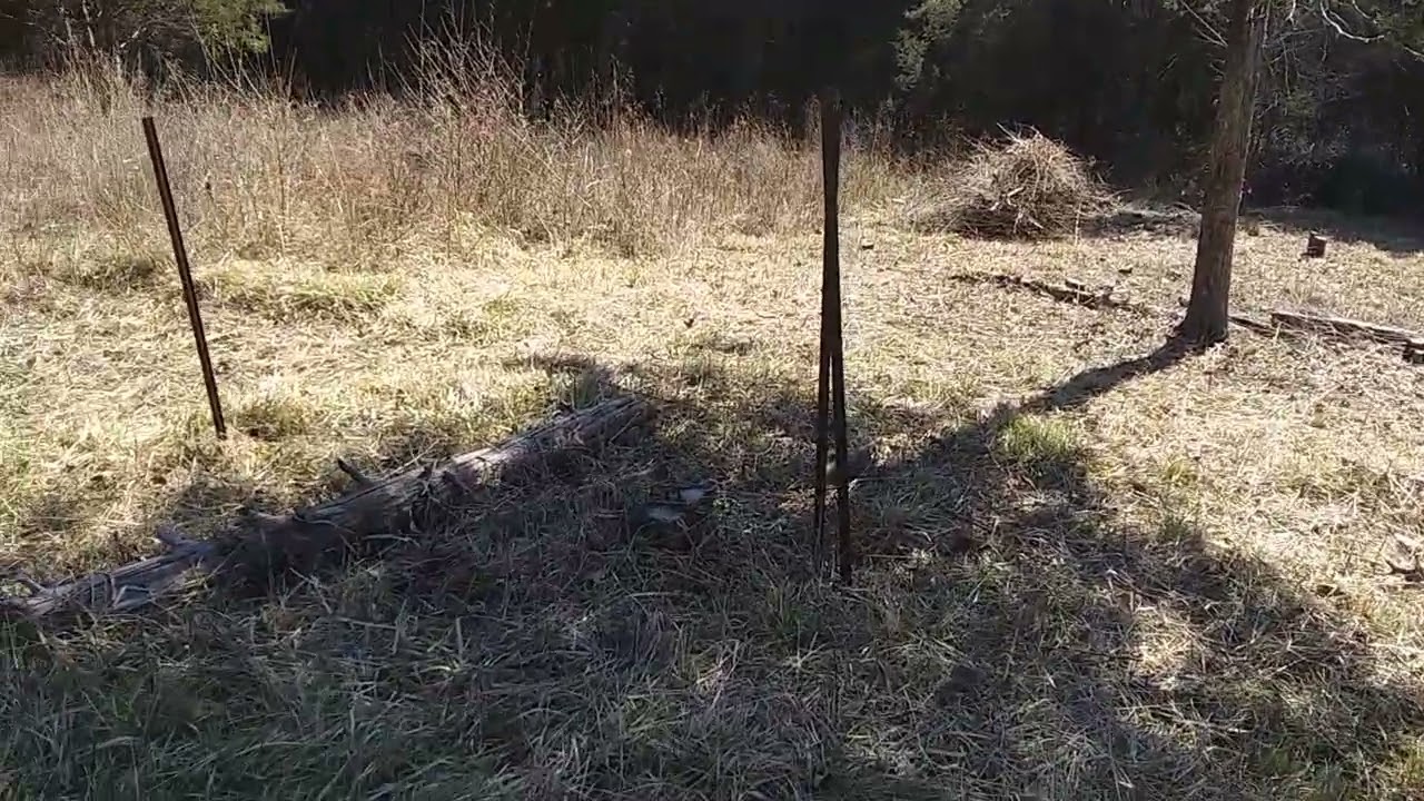 2026 02 21 The Northeast Pasture Section 6 - After 3 Days Of Work