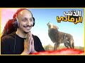 مغامرات الذئب 1 بداية الصيد والتلفيل The Wolf 