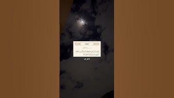 قرآن كريم | تلاوة خاشعة للشيخ محمد اللحيدان | سورة النساء 🤍🎧.