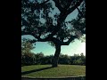 Retiro de Calma. Cambia tu mente y entra en tu VIDA